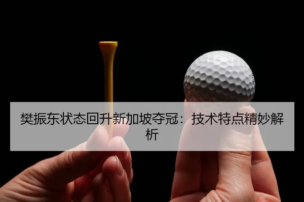 樊振东状态回升新加坡夺冠：技术特点精妙解析
